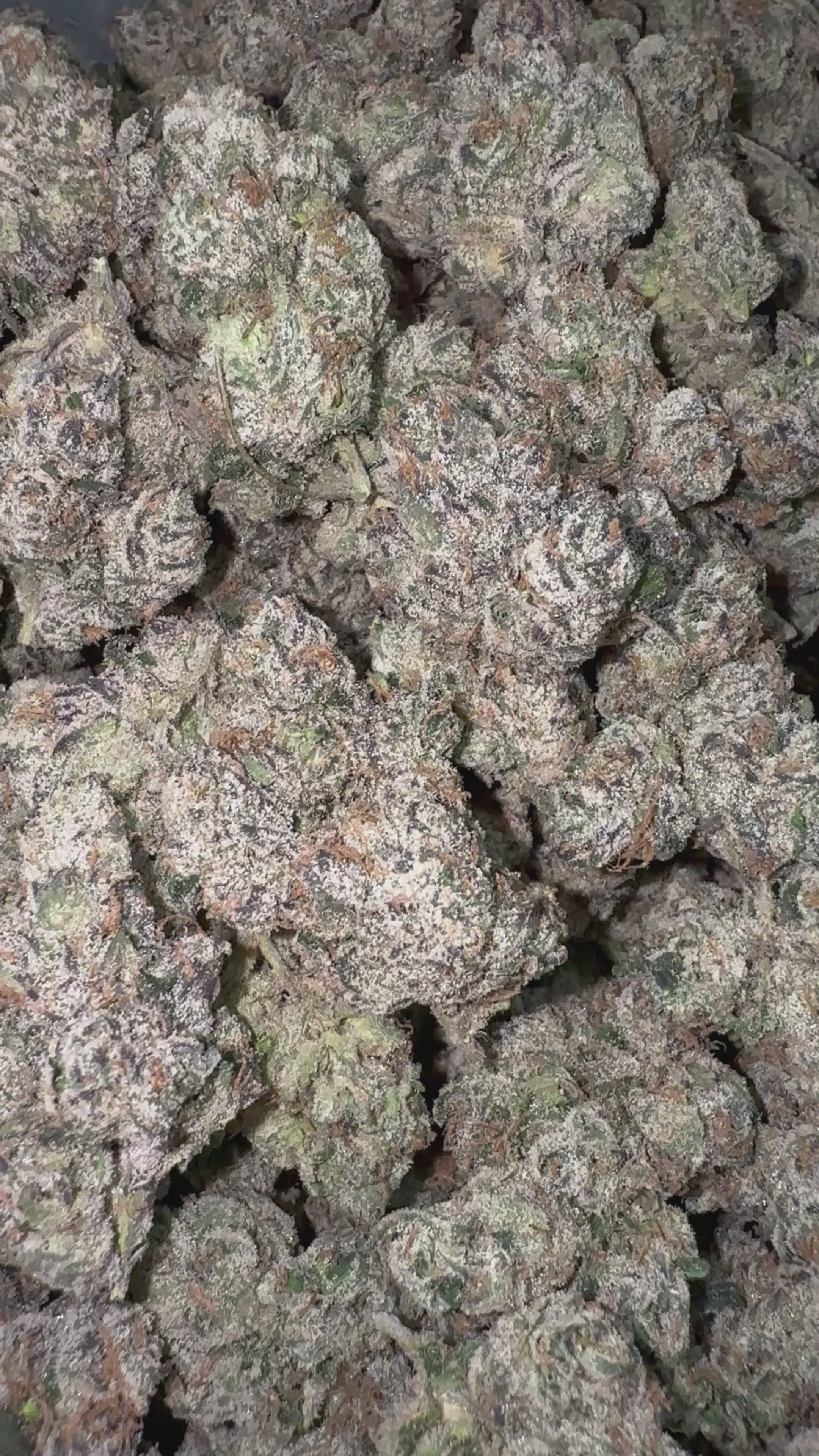 Load video: Elite Boutique Exotics Dirty Sprite - Bulk - Hybrid