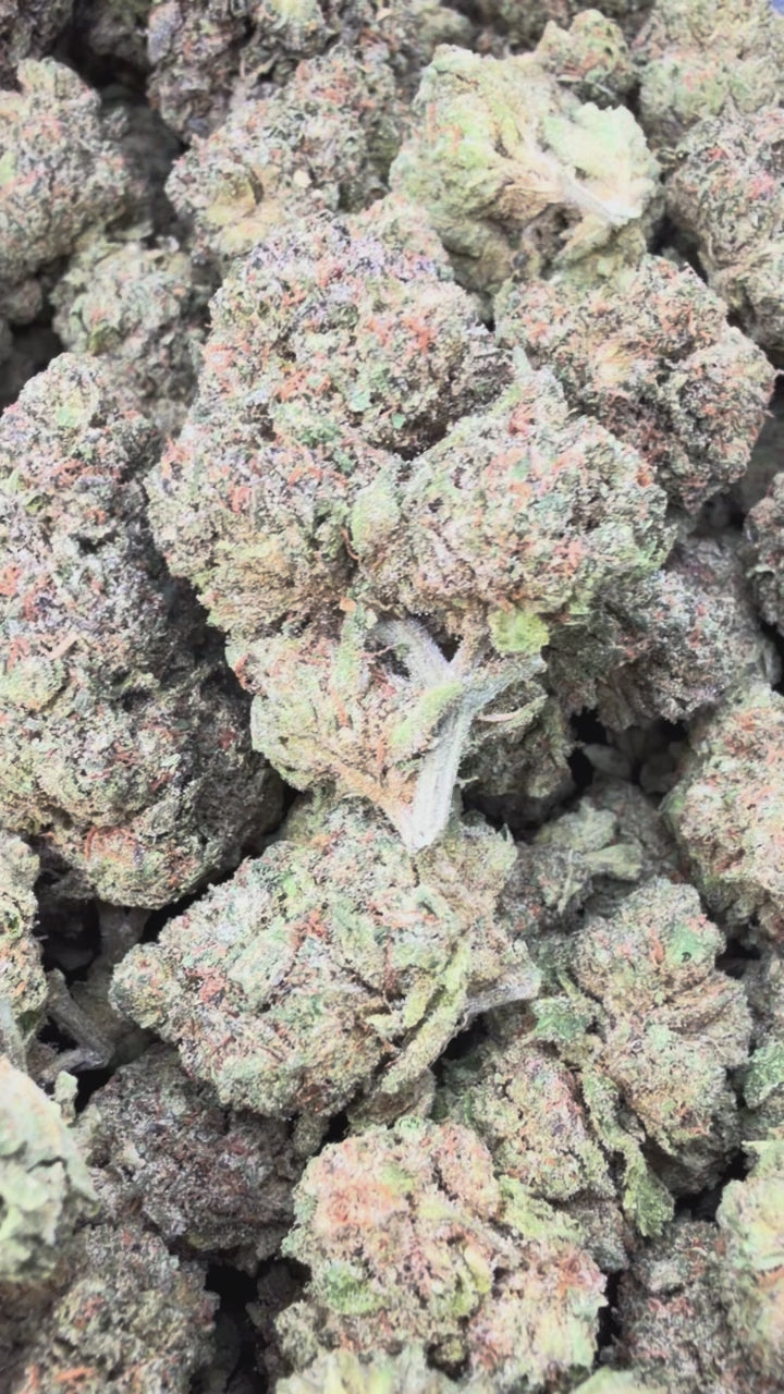 Load video: Pink Panties - Bulk - Indica