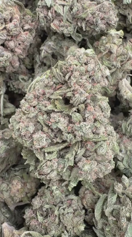 Load video: Fire OG - Bulk - Indica