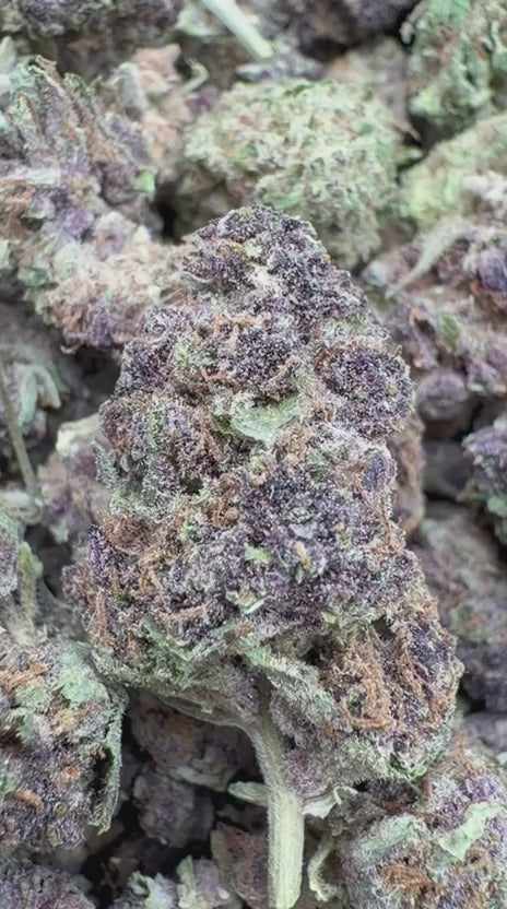 Cargar vídeo: Purple Churro - A granel - Indica 