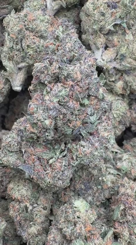 Load video: Double Runtz Indoor - Bulk - Hybrid