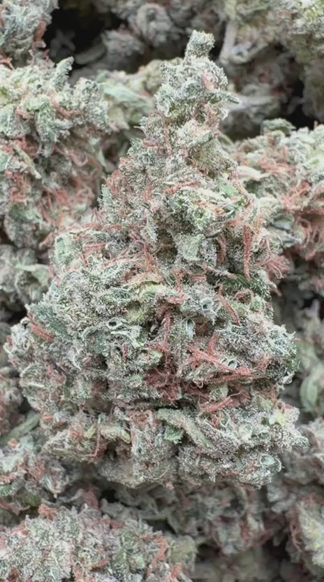 Cargar vídeo: Citrus Skunk - A granel - Híbrido 