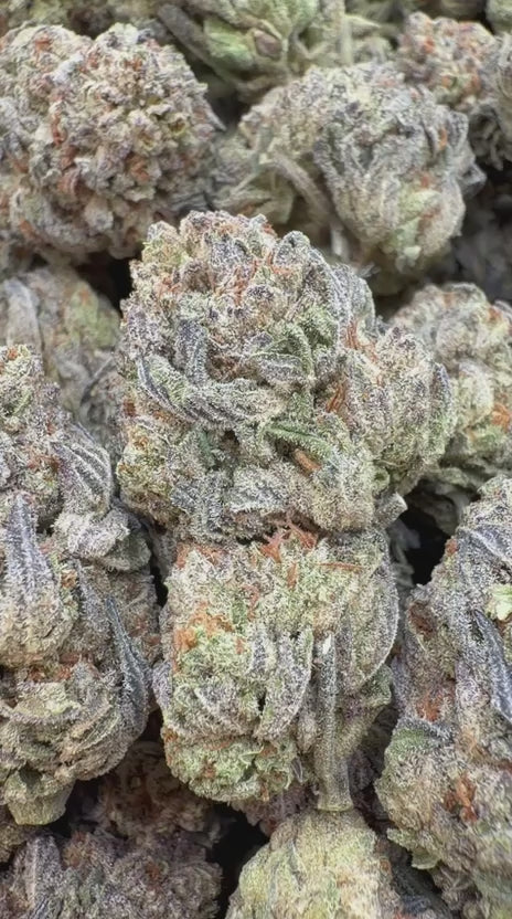 Load video: Oreoz - Bulk - Indica