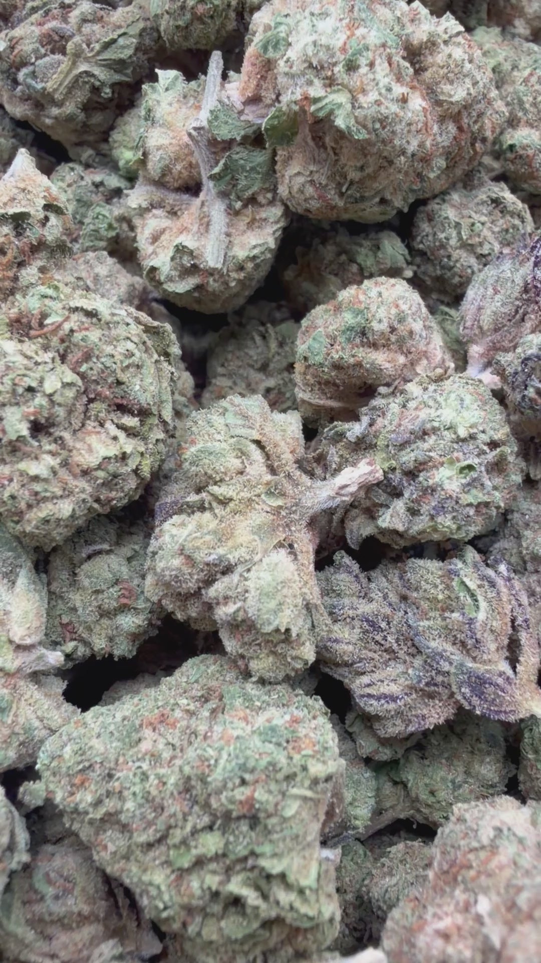 Load video: Warheads Mediums - Bulk Mediums - Sativa