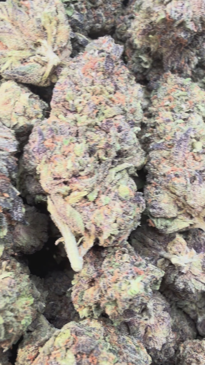 Load video: Gusher Runtz - Bulk - Hybrid