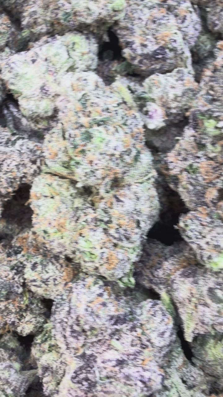 Load video: Indoor Exotic White Zkittlez - Bulk - Hybrid