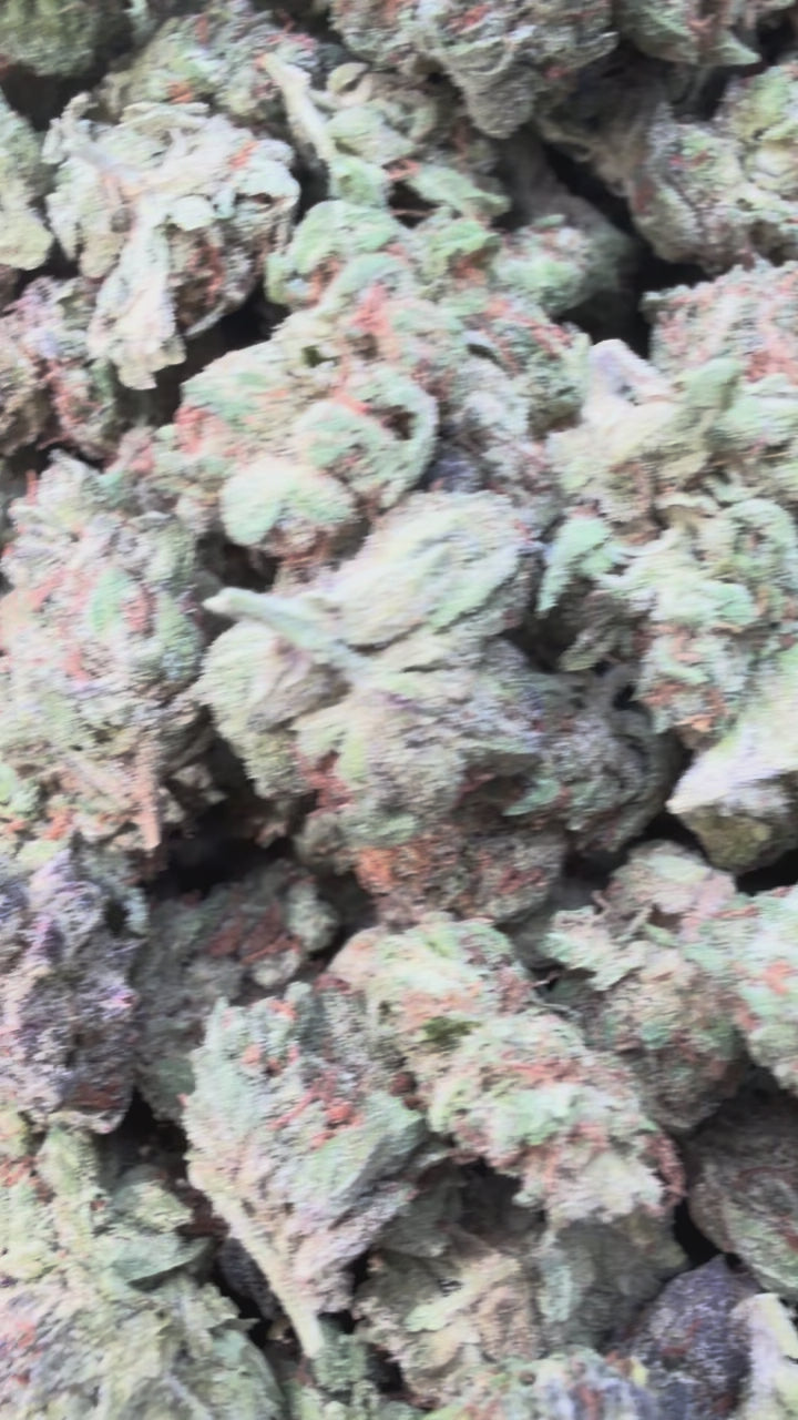 Load video: Froot By The Foot Littles - Bulk Littles - Indica
