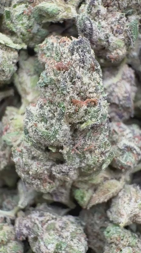 Load video: Jolly Ranchers Indoor Littles- Bulk Littles - Indica