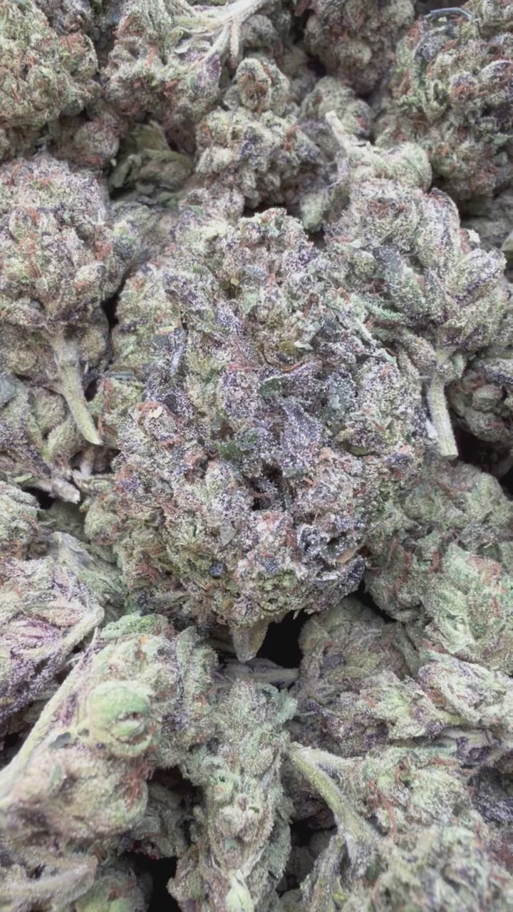 Load video: Purple Octane - Bulk- Indica