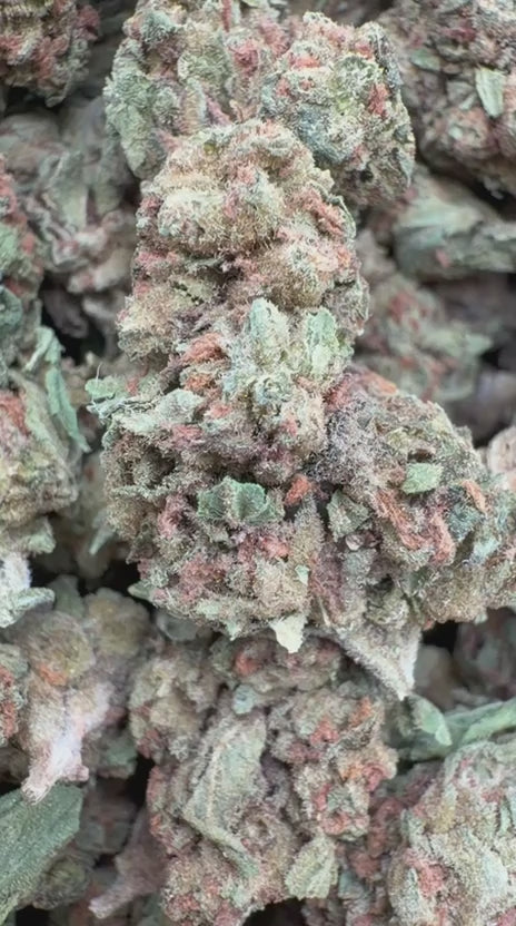 Load video: Cookies and Cream Littles - Bulk Littles - Hybrid