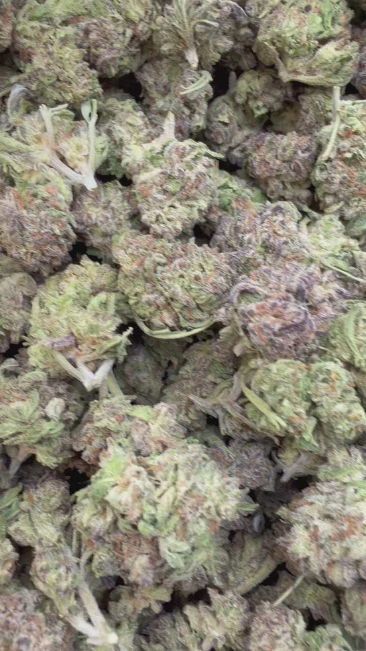 Load video: Peanut Butter Souffle Littles - Bulk Littles - Indica