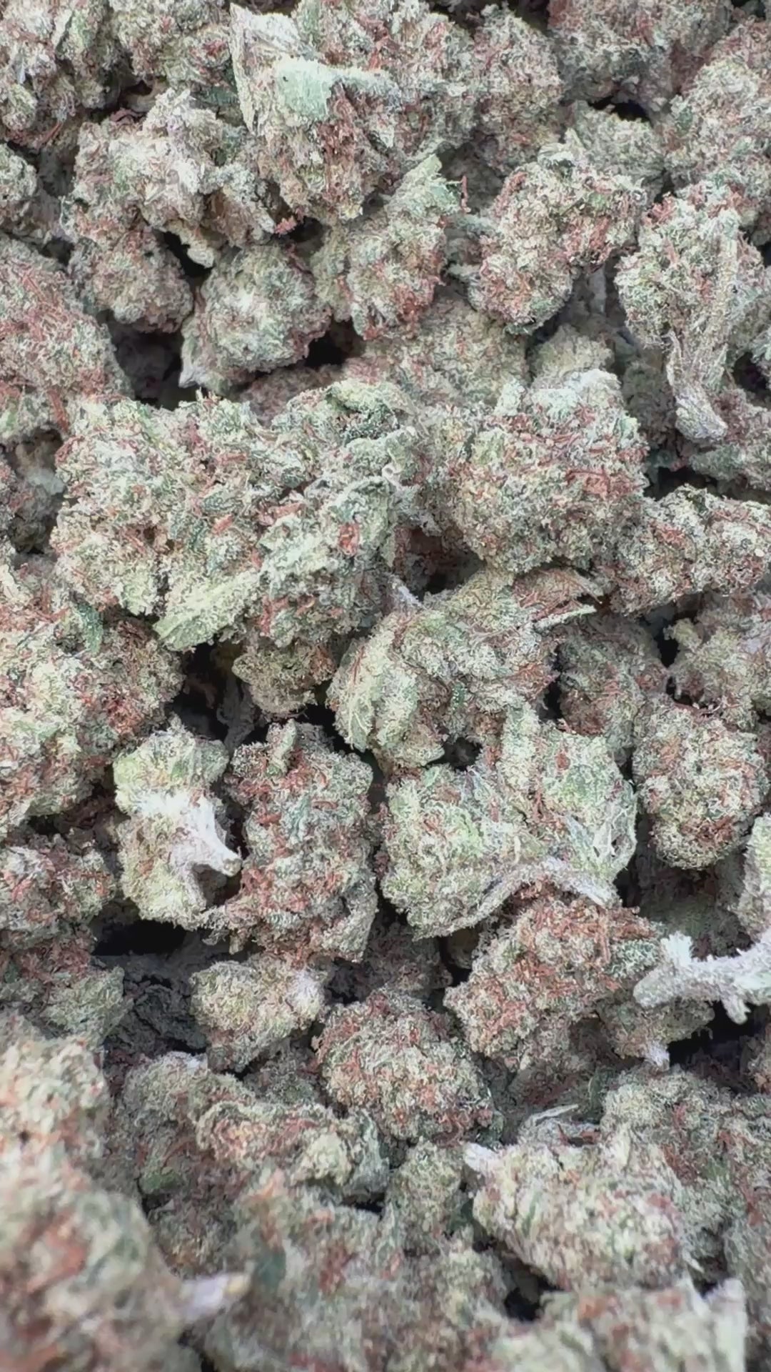 Load video: Sour Apple Indoor Littles - Bulk Littles - Hybrid