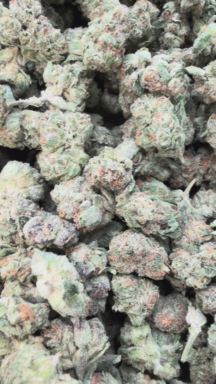 Load video: Double Cake Littles - Bulk Littles - Hybrid