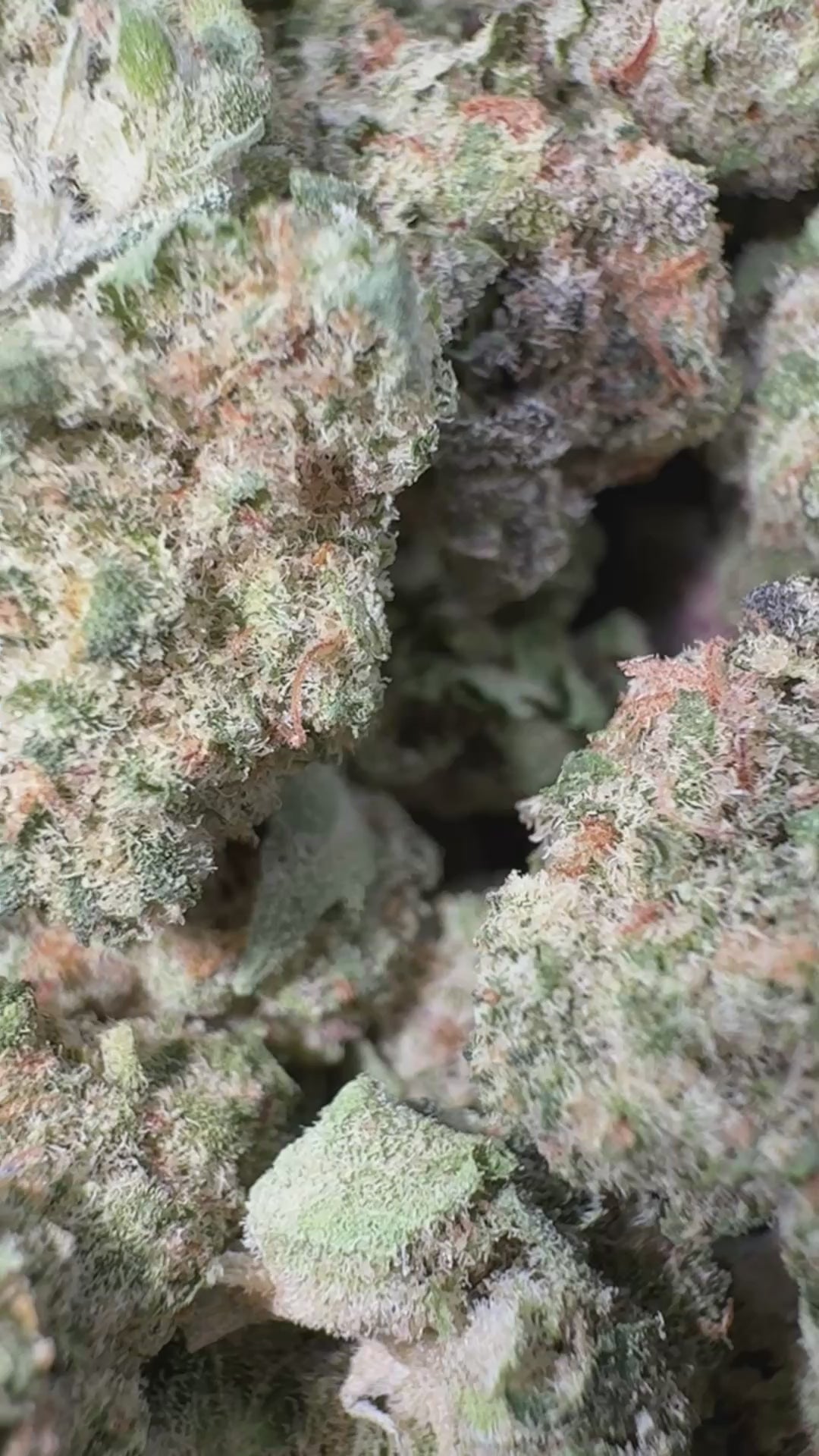 Load video: Do Si Dos x Lava Cake Littles - Bulk Littles - Indica