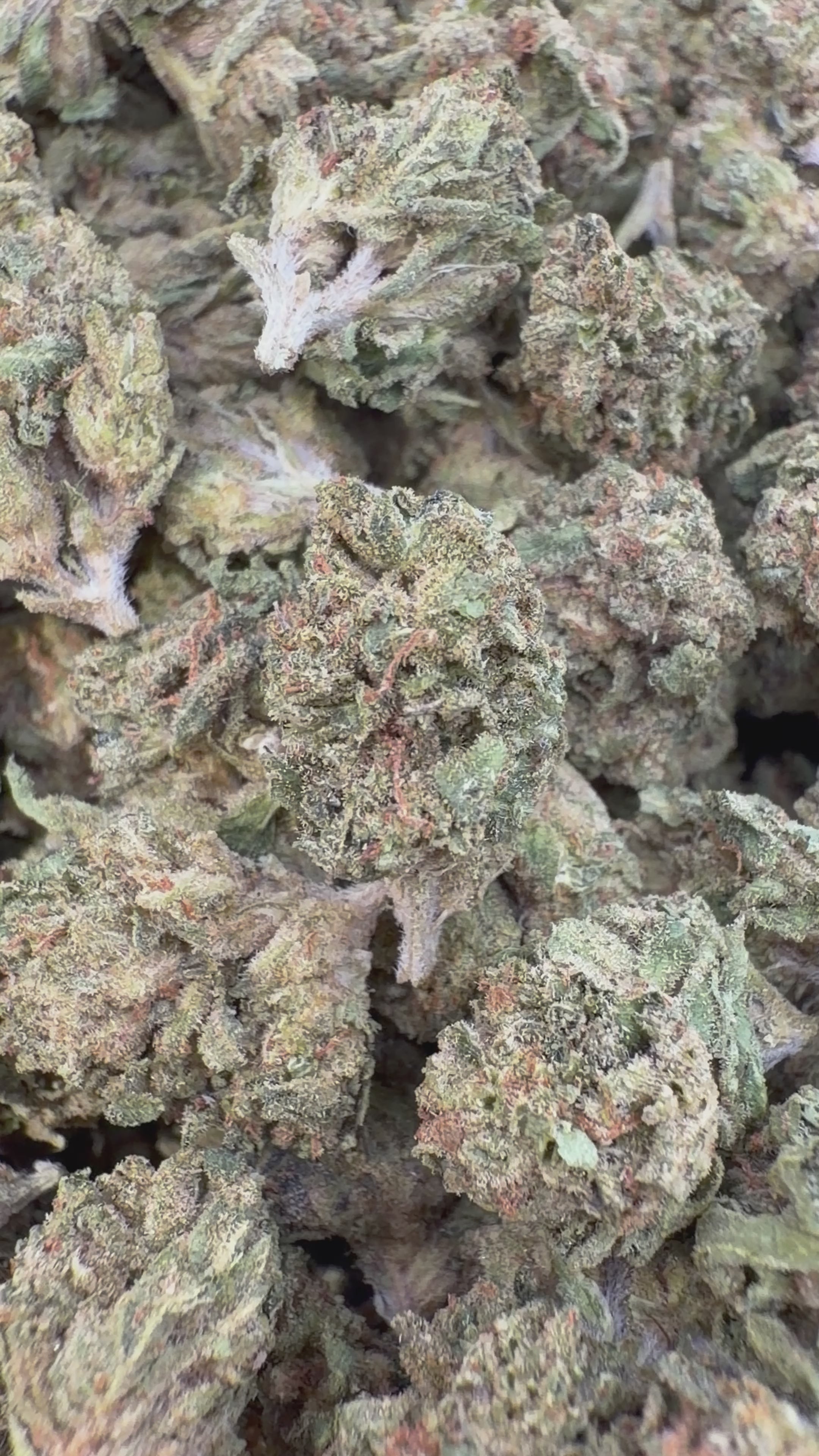 Load video: Grease Monkey Littles - Bulk Littles - Indica
