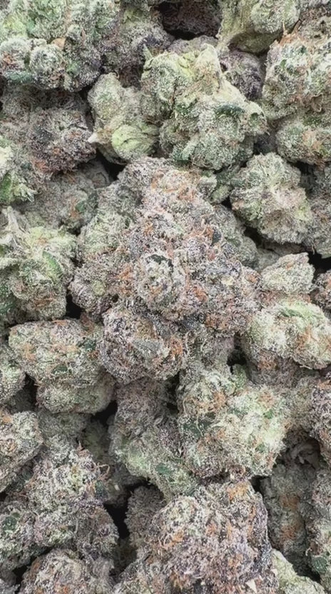 Load video: Purple Nerdz - Bulk - Indica