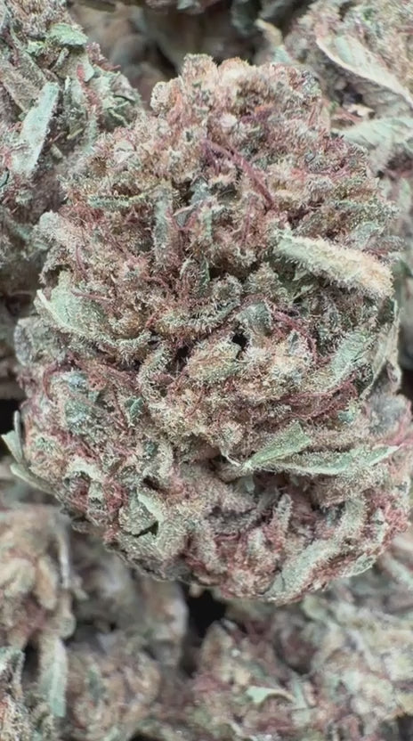 Load video: Galaxy OG - Bulk - Indica