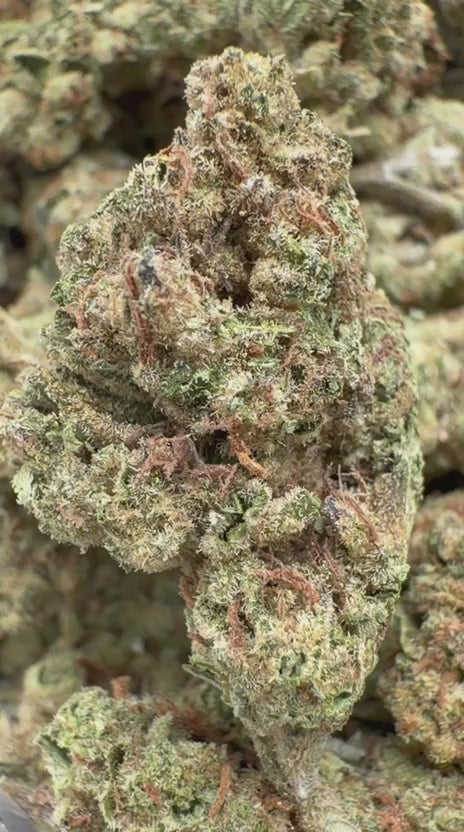 Load video: Pineapple Express - Bulk - Sativa