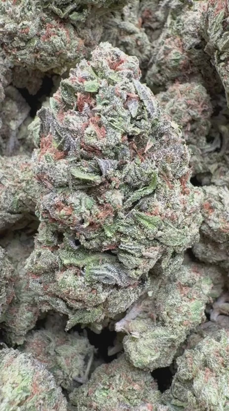 Load video: Runtz x Grease Monkey - Bulk - Indica