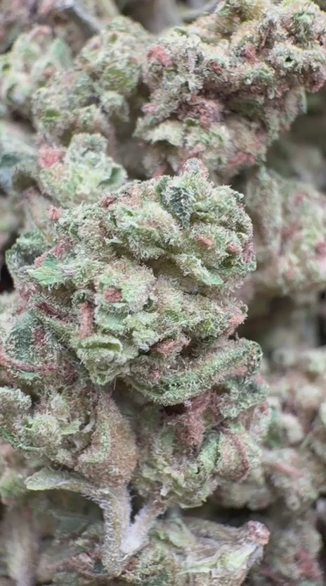 Cargar vídeo: Pastel de cereza - A granel - Híbrido