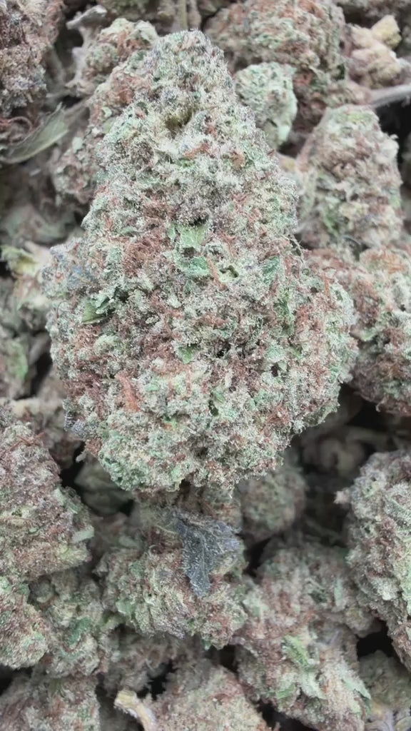 Load video: Blueberry Headband  - Bulk - Hybrid