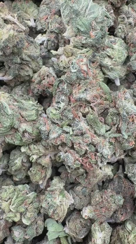 Load video: Cookies and Cream Littles - Bulk Littles - Hybrid