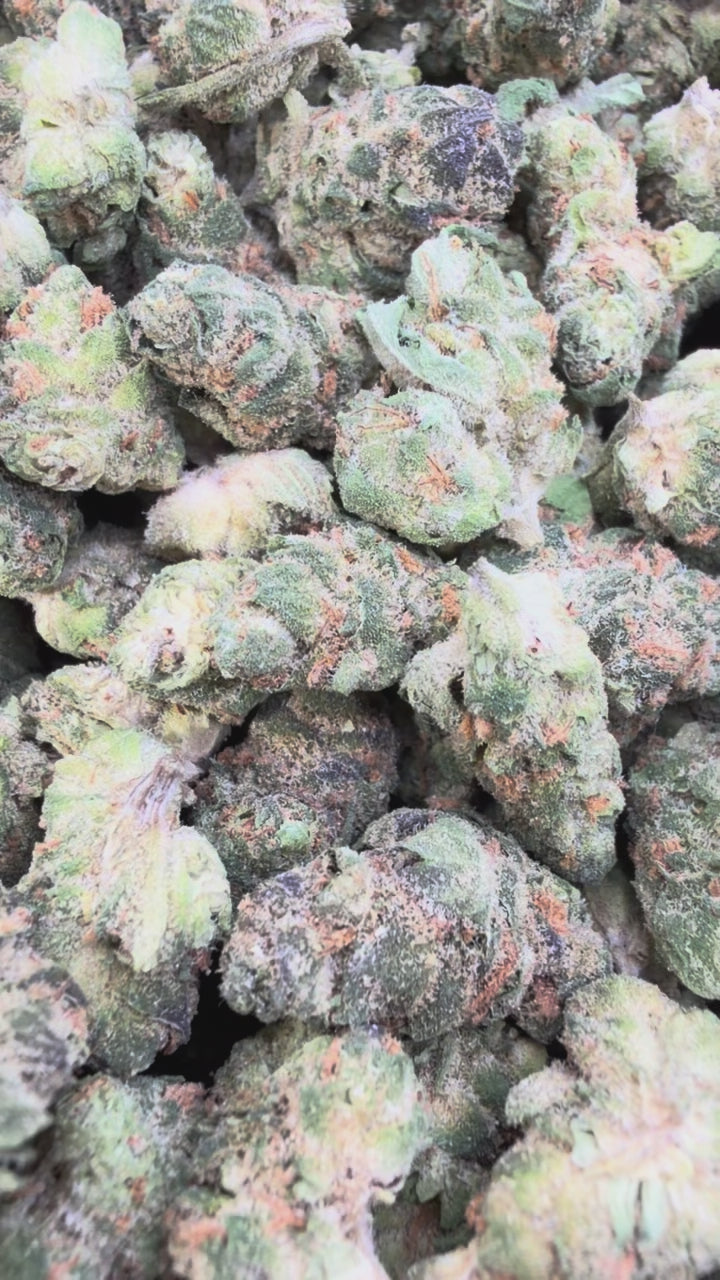 Load video: Blue Nerds Littles - Bulk Littles - Hybrid