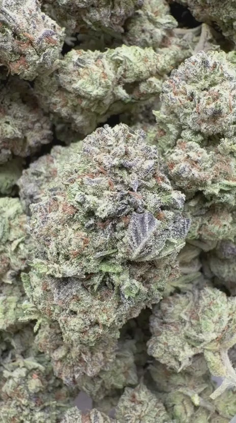 Load video: Runtz x Grease Monkey Indoor - Bulk - Indica