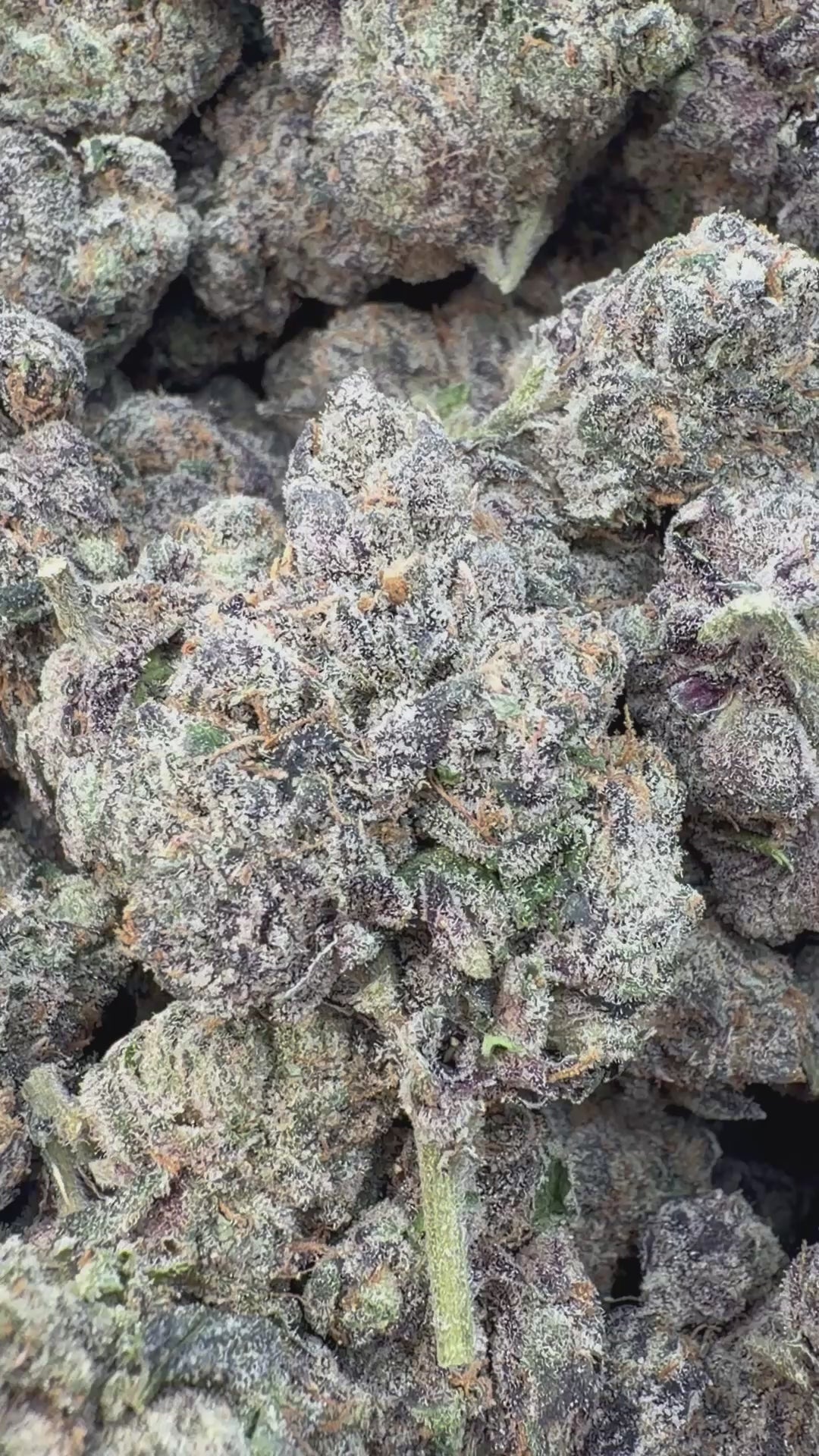 Cargar vídeo: Elite Boutique Exotic Don Murfos LCG - A granel - Híbrido