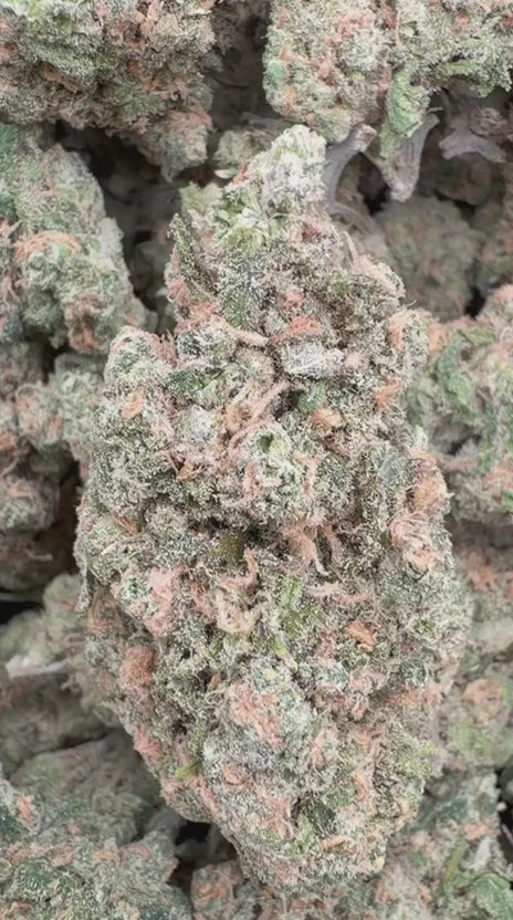Cargar vídeo: Beyond Blue Dream - A granel - Sativa