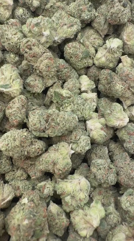Load video: Fire OG Littles - Bulk Littles - Indica