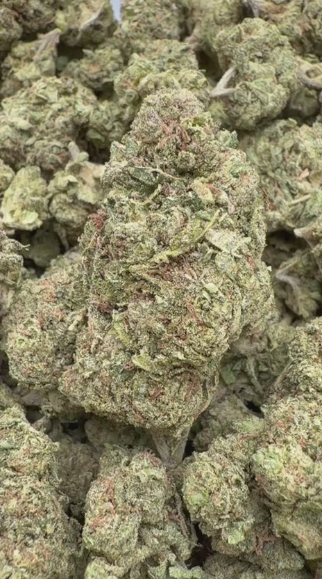 Load video: Blueberry Zkittlez - Bulk - Indica