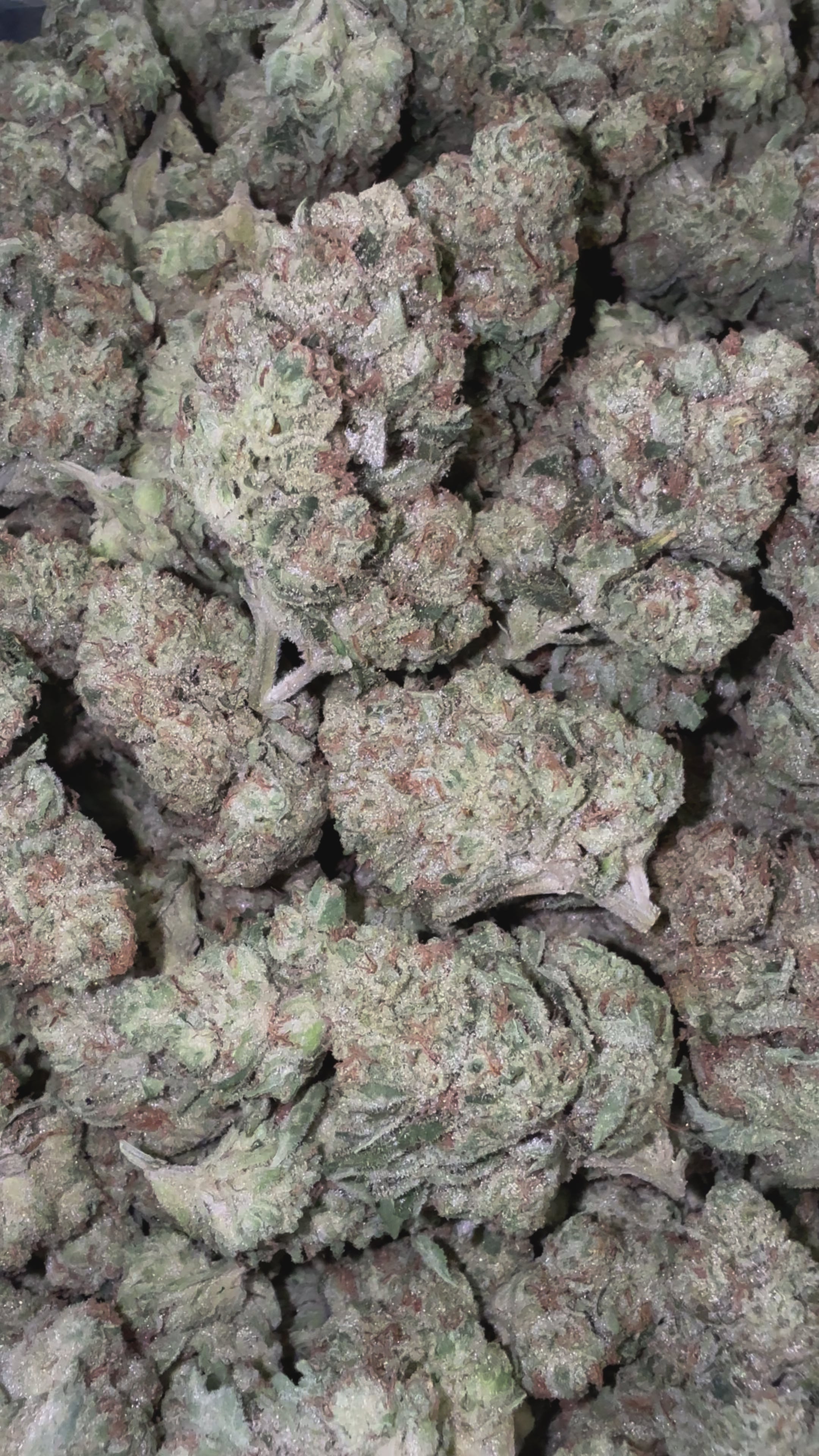 Load video: Alien OG - Bulk - Indica