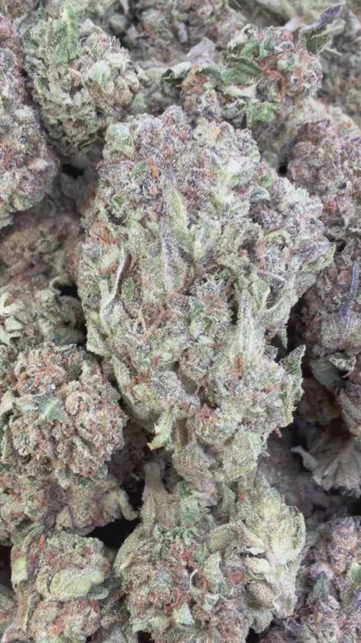 Load video: Gruntz - Bulk - Indica