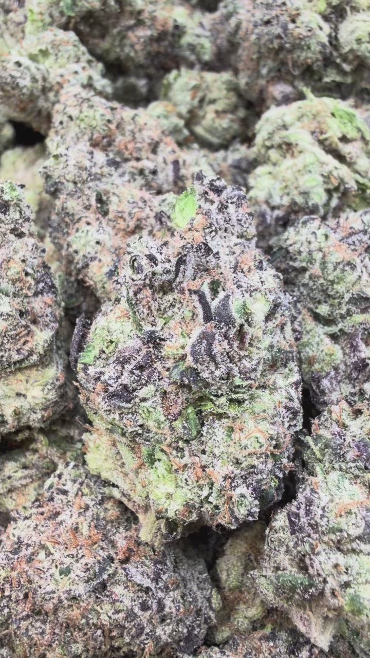 Load video: Indoor Exotic Hashburger - Bulk - Indica