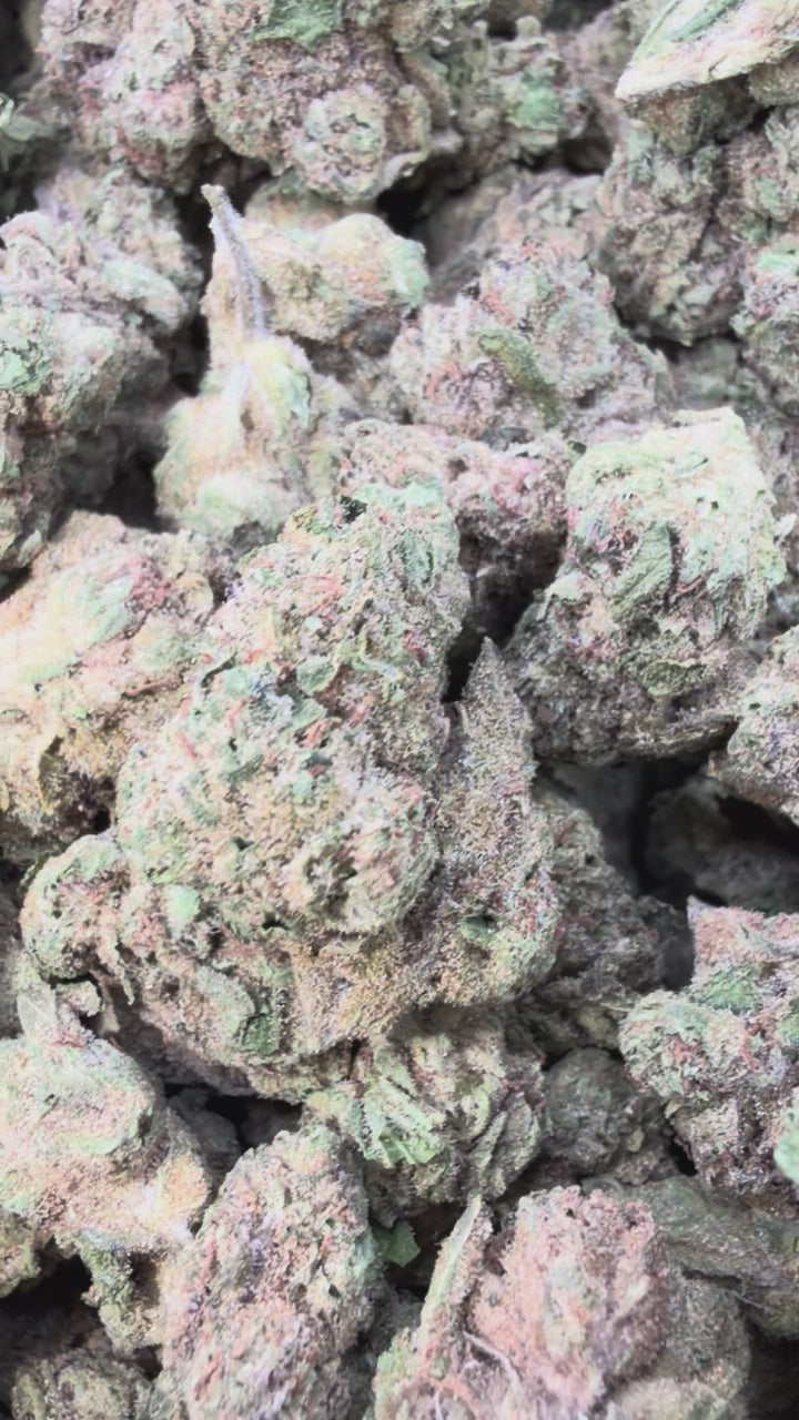 Load video: Ice Runtz - Bulk - Indica