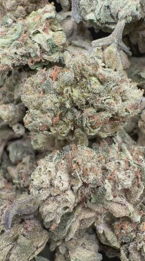 Cargar vídeo: Taza de mantequilla de maní - A granel - Indica