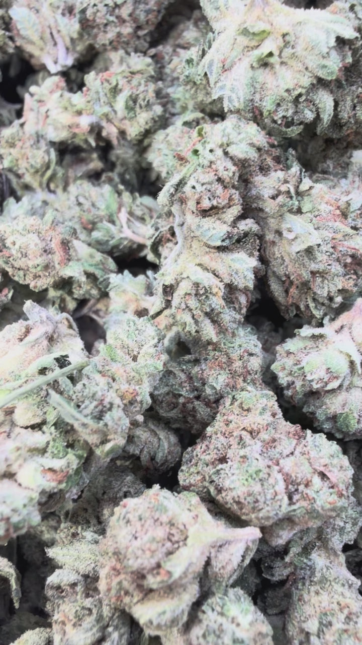 Load video: Gorilla Glue Littles - Bulk Littles - Indica