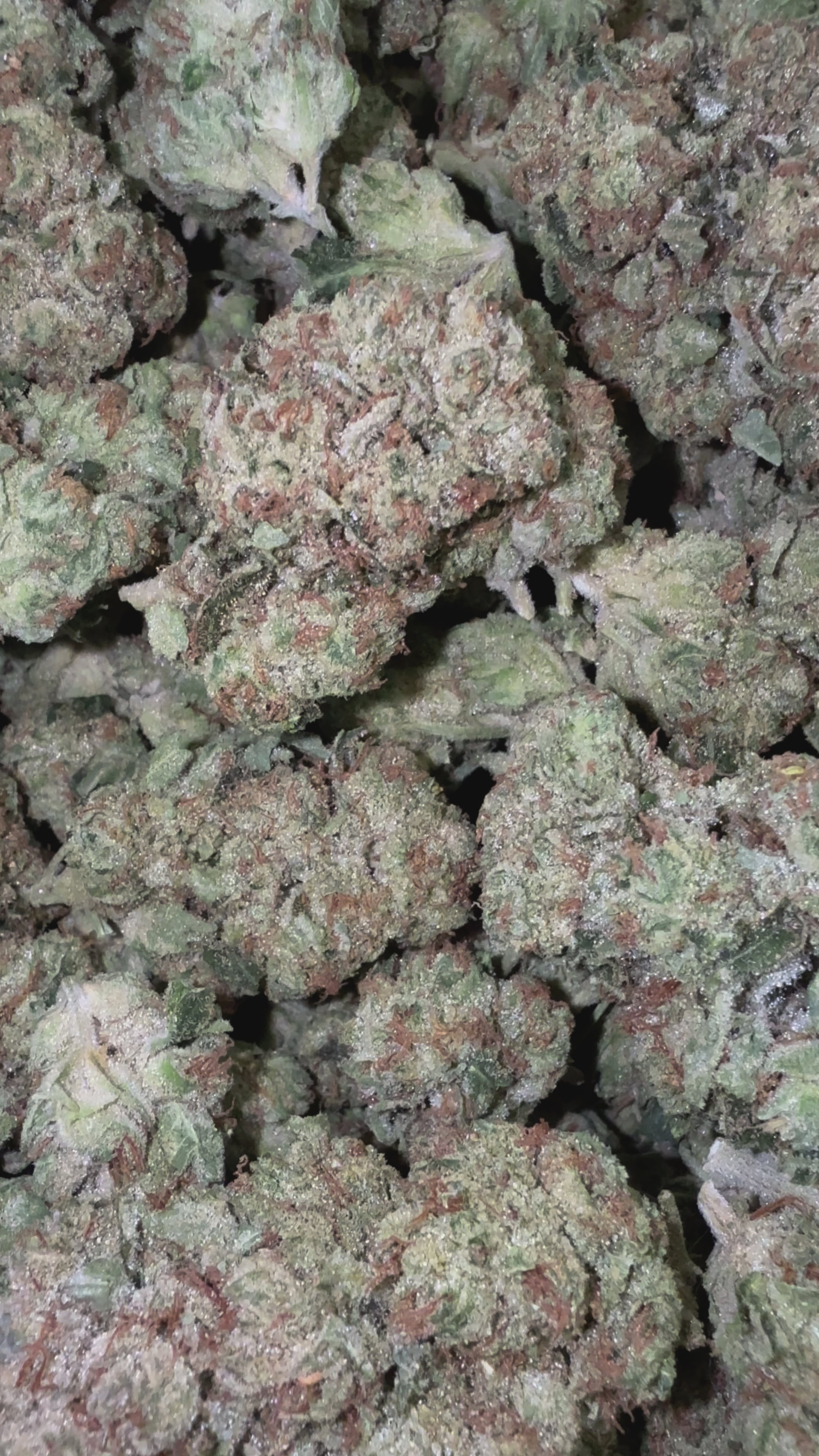 Load video: Tahoe OG - Bulk - Indica
