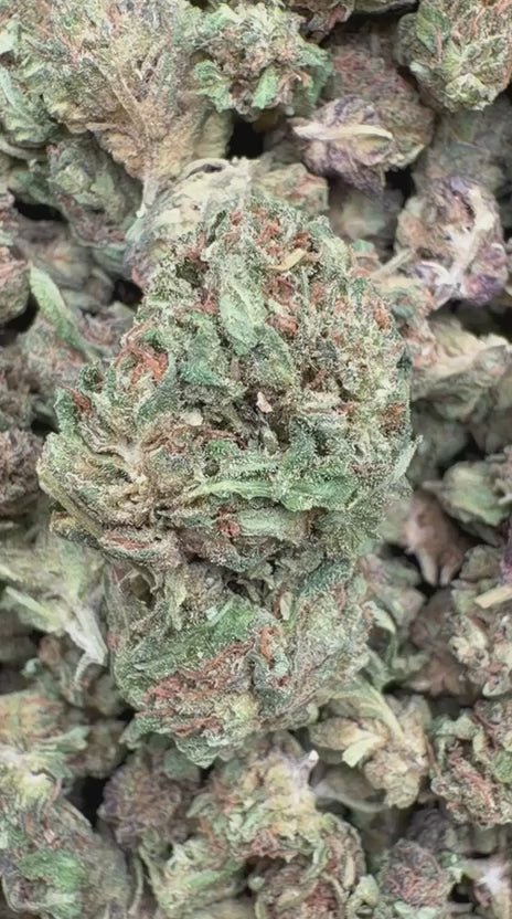 Load video: NYC Sour Diesel Littles - Bulk Littles - Sativa