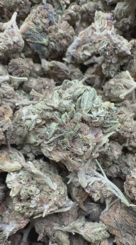 Cargar vídeo: Acapulco Gold Littles - Littles a granel - Sativa