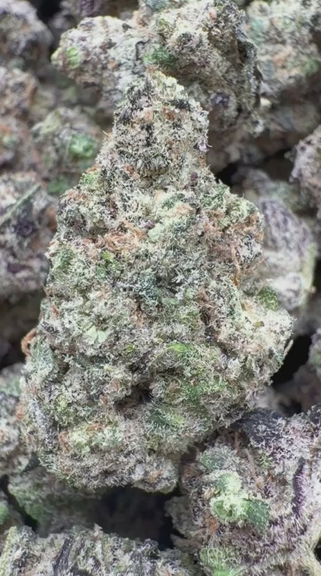 Load video: Garlic Cookies Indoor Mediums - Bulk Mediums - Hybrid