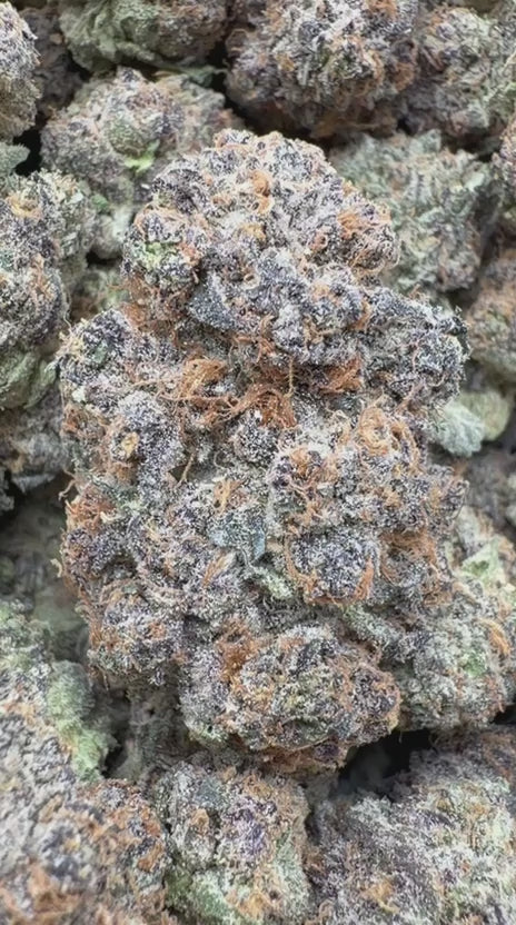 Load video: Berry Zkittles Indoor - Bulk - Indica