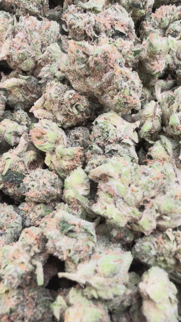 Load video: Double Cake Indoor Littles - Bulk Littles - Hybrid