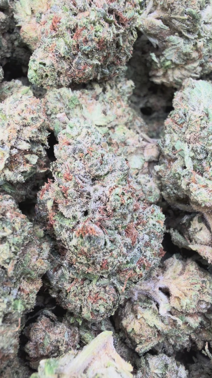 Load video: Grease Monkey - Bulk - Indica