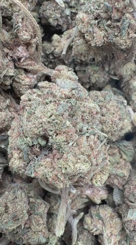 Cargar vídeo: OGM - A granel - Indica