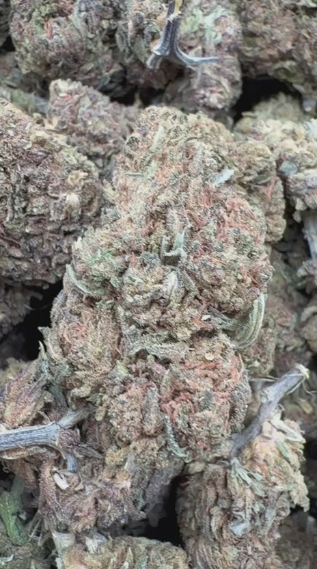 Cargar vídeo: Luces del Norte - A granel - Indica