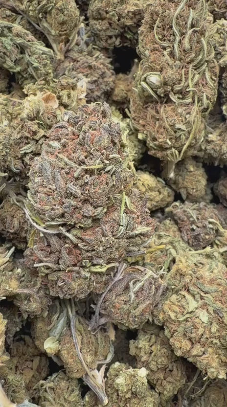Load video: Purple Kush - Bulk - Indica