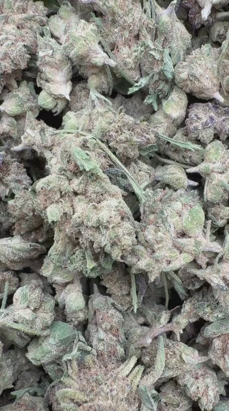 Cargar vídeo: Pinnacle Mintz Littles - Bulk Littles - Híbrido