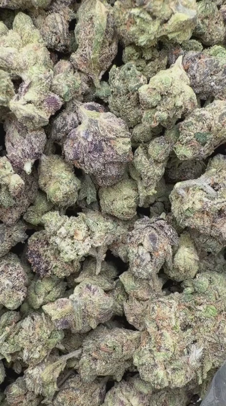 Load video: Oakland Runtz Indoor Littles - Bulk Littles - Hybrid